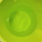 ヒメ日記 2025/11/18 15:15 投稿 三上 さな 30代40代50代と遊ぶなら博多人妻専科24時