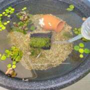 ヒメ日記 2025/11/19 11:13 投稿 三上 さな 30代40代50代と遊ぶなら博多人妻専科24時