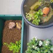 ヒメ日記 2025/11/26 10:27 投稿 三上 さな 30代40代50代と遊ぶなら博多人妻専科24時