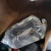 ヒメ日記 2025/11/28 15:45 投稿 三上 さな 30代40代50代と遊ぶなら博多人妻専科24時