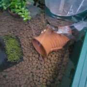 ヒメ日記 2025/11/28 17:11 投稿 三上 さな 30代40代50代と遊ぶなら博多人妻専科24時