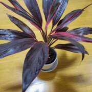 ヒメ日記 2025/12/09 22:42 投稿 三上 さな 30代40代50代と遊ぶなら博多人妻専科24時