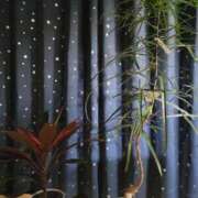 ヒメ日記 2025/12/11 22:11 投稿 三上 さな 30代40代50代と遊ぶなら博多人妻専科24時