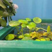 ヒメ日記 2025/12/24 12:30 投稿 三上 さな 30代40代50代と遊ぶなら博多人妻専科24時