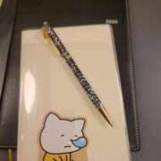 ヒメ日記 2026/01/06 19:18 投稿 三上 さな 30代40代50代と遊ぶなら博多人妻専科24時