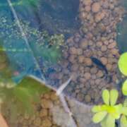 ヒメ日記 2026/01/10 13:47 投稿 三上 さな 30代40代50代と遊ぶなら博多人妻専科24時