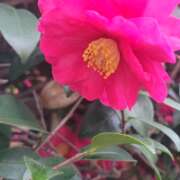 ヒメ日記 2026/01/23 15:24 投稿 三上 さな 30代40代50代と遊ぶなら博多人妻専科24時