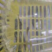 ヒメ日記 2026/01/24 16:24 投稿 三上 さな 30代40代50代と遊ぶなら博多人妻専科24時