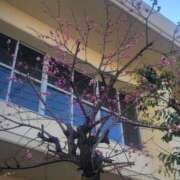 ヒメ日記 2026/02/03 09:55 投稿 三上 さな 30代40代50代と遊ぶなら博多人妻専科24時