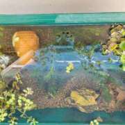 ヒメ日記 2026/02/09 12:10 投稿 三上 さな 30代40代50代と遊ぶなら博多人妻専科24時