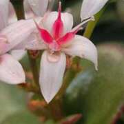 ヒメ日記 2026/02/10 14:52 投稿 三上 さな 30代40代50代と遊ぶなら博多人妻専科24時