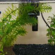 ヒメ日記 2026/02/15 10:31 投稿 三上 さな 30代40代50代と遊ぶなら博多人妻専科24時