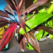 ヒメ日記 2026/02/26 09:00 投稿 三上 さな 30代40代50代と遊ぶなら博多人妻専科24時