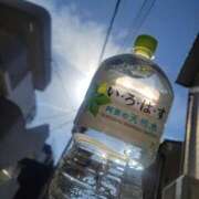 ヒメ日記 2026/03/01 11:12 投稿 三上 さな 30代40代50代と遊ぶなら博多人妻専科24時