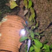 ヒメ日記 2026/04/08 09:19 投稿 三上 さな 30代40代50代と遊ぶなら博多人妻専科24時