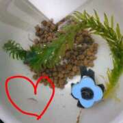 ヒメ日記 2026/04/10 00:54 投稿 三上 さな 30代40代50代と遊ぶなら博多人妻専科24時