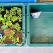 ヒメ日記 2026/04/16 17:06 投稿 三上 さな 30代40代50代と遊ぶなら博多人妻専科24時