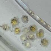 ヒメ日記 2026/04/18 00:45 投稿 三上 さな 30代40代50代と遊ぶなら博多人妻専科24時