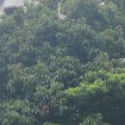 ヒメ日記 2026/05/27 16:00 投稿 三上 さな 30代40代50代と遊ぶなら博多人妻専科24時