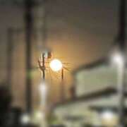 ヒメ日記 2025/08/10 19:56 投稿 みな ぼくらのデリヘルランドin久喜店