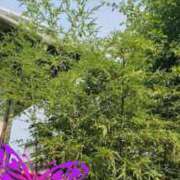 ヒメ日記 2025/07/03 16:29 投稿 すずめ デリバリーヘルス熊本インターちゃんこ