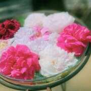 ヒメ日記 2025/09/05 16:49 投稿 すずめ デリバリーヘルス熊本インターちゃんこ