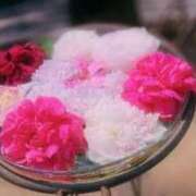 ヒメ日記 2025/10/03 03:39 投稿 すずめ デリバリーヘルス熊本インターちゃんこ