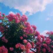 ヒメ日記 2025/10/04 09:23 投稿 すずめ デリバリーヘルス熊本インターちゃんこ