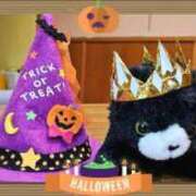 ヒメ日記 2025/10/24 09:09 投稿 すずめ デリバリーヘルス熊本インターちゃんこ