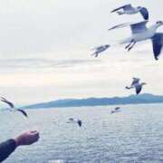 ヒメ日記 2025/11/02 11:09 投稿 すずめ デリバリーヘルス熊本インターちゃんこ