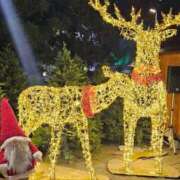 ヒメ日記 2025/12/18 21:29 投稿 すずめ デリバリーヘルス熊本インターちゃんこ