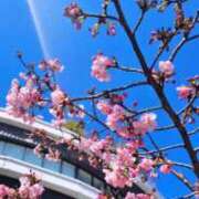 ヒメ日記 2026/02/22 00:09 投稿 すずめ デリバリーヘルス熊本インターちゃんこ