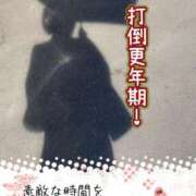 ヒメ日記 2025/07/29 18:55 投稿 下村 錦糸町おかあさん