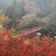 ヒメ日記 2026/02/18 17:50 投稿 おとは 手こき＆オナクラ 大阪はまちゃん