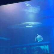 ヒメ日記 2025/06/29 21:06 投稿 土屋綾香 五十路マダム愛されたい熟女たち 津山店