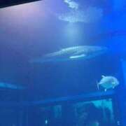 ヒメ日記 2025/12/10 12:52 投稿 土屋綾香 五十路マダム愛されたい熟女たち 津山店