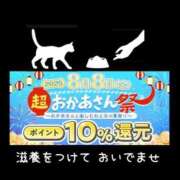 ヒメ日記 2025/08/06 15:47 投稿 下村 松戸おかあさん
