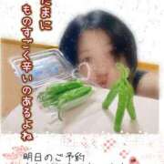 ヒメ日記 2025/08/25 10:47 投稿 下村 松戸おかあさん