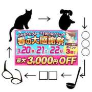 ヒメ日記 2026/03/06 19:35 投稿 下村 松戸おかあさん