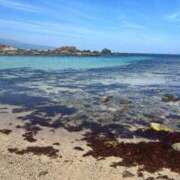 ヒメ日記 2025/08/05 21:50 投稿 清瀬　奈津 ～逢～tokyo