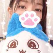 ヒメ日記 2025/09/03 17:40 投稿 清瀬　奈津 ～逢～tokyo