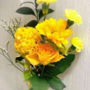 ヒメ日記 2025/09/18 18:20 投稿 清瀬　奈津 ～逢～tokyo