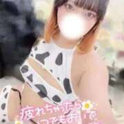 ヒメ日記 2025/12/07 09:31 投稿 りく ドMな団地妻 名古屋・池下店