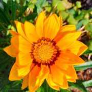 ヒメ日記 2025/06/23 09:36 投稿 梨々花（りりか） PLUS難波店