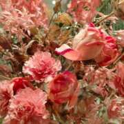 ヒメ日記 2025/06/25 17:35 投稿 梨々花（りりか） PLUS難波店