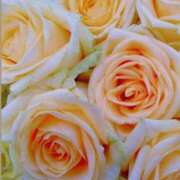 ヒメ日記 2025/07/08 09:57 投稿 梨々花（りりか） PLUS難波店