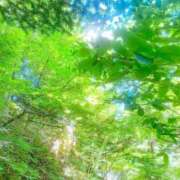 ヒメ日記 2025/07/08 13:54 投稿 梨々花（りりか） PLUS難波店