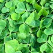 ヒメ日記 2025/07/16 00:34 投稿 梨々花（りりか） PLUS難波店