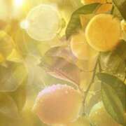 ヒメ日記 2025/07/16 17:14 投稿 梨々花（りりか） PLUS難波店