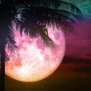 ヒメ日記 2025/07/27 01:54 投稿 梨々花（りりか） PLUS難波店